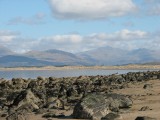IMG_1081